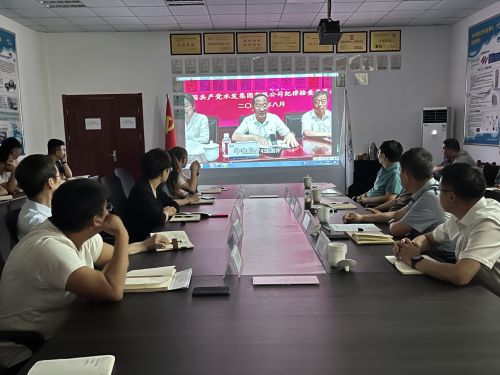 【河海水文】水發(fā)水控集團(tuán)黨委委員、紀(jì)委書記王高升到河海公司全面從嚴(yán)治黨、黨風(fēng)廉政建設(shè)專題調(diào)研 (1).jpg